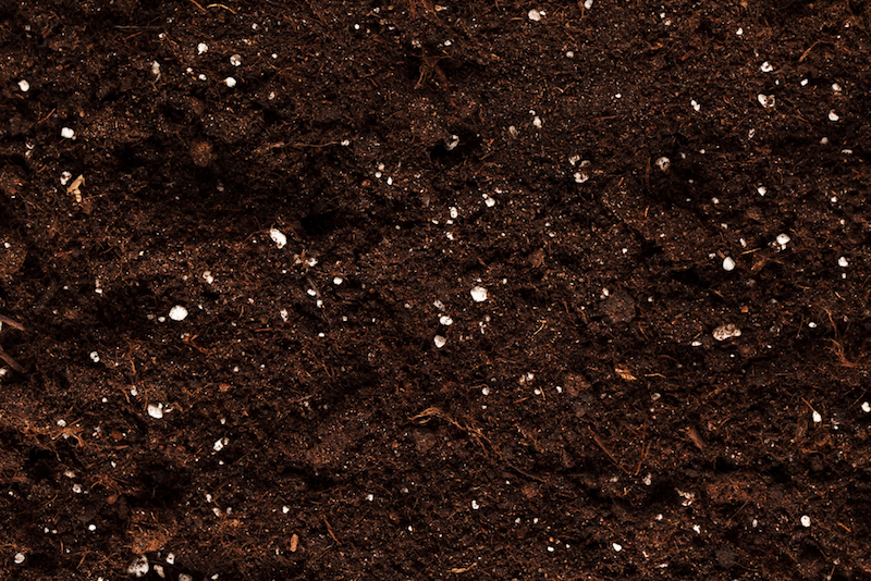 growbox