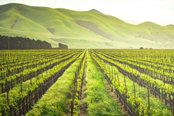 I grader laser in agricoltura: a cosa servono e perché sono utili